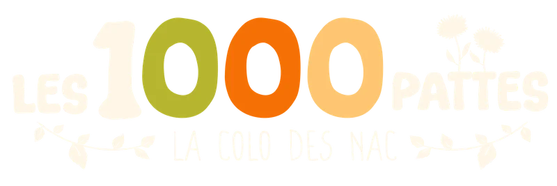 pensionles1000pattes.fr